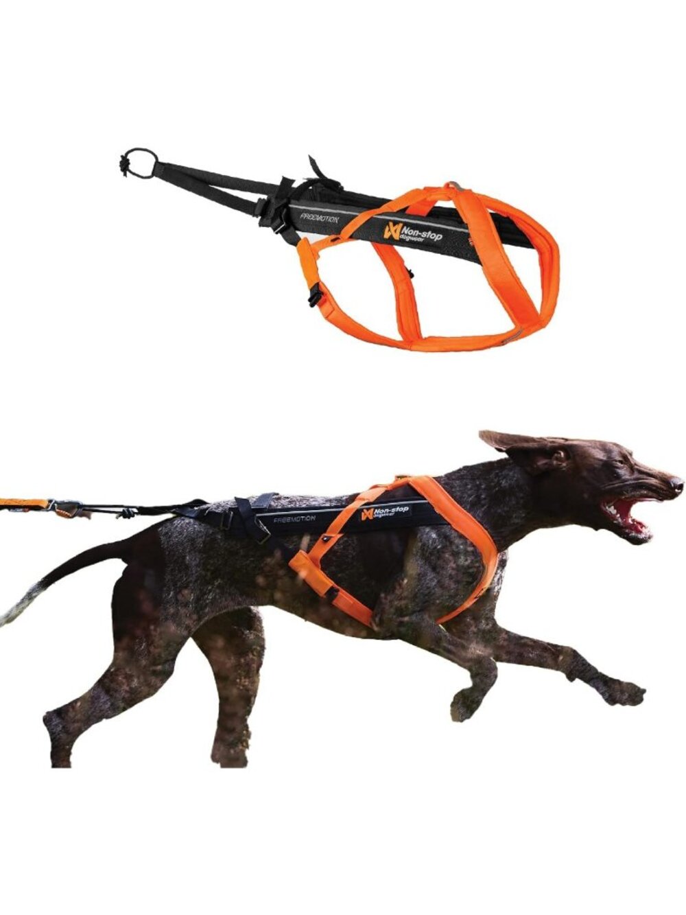 Adjustable Dog Pulling Harness for Running, Biking & Skiing - Size 7